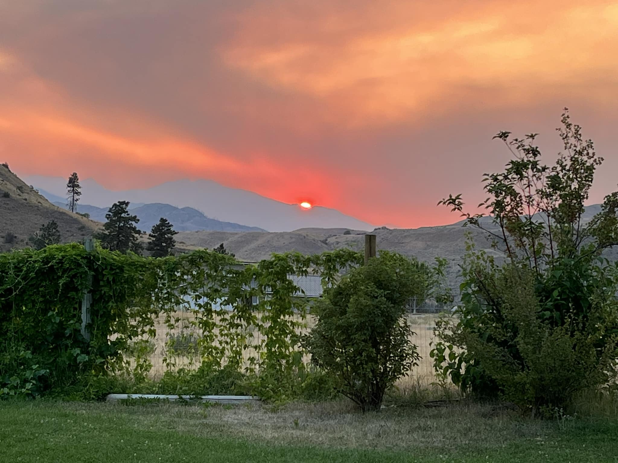 wildfire smoke