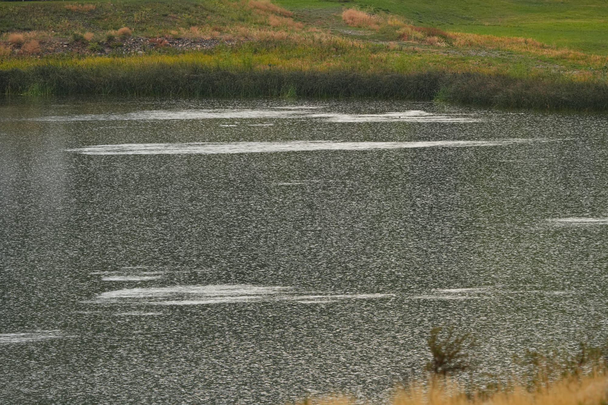 rain on lake