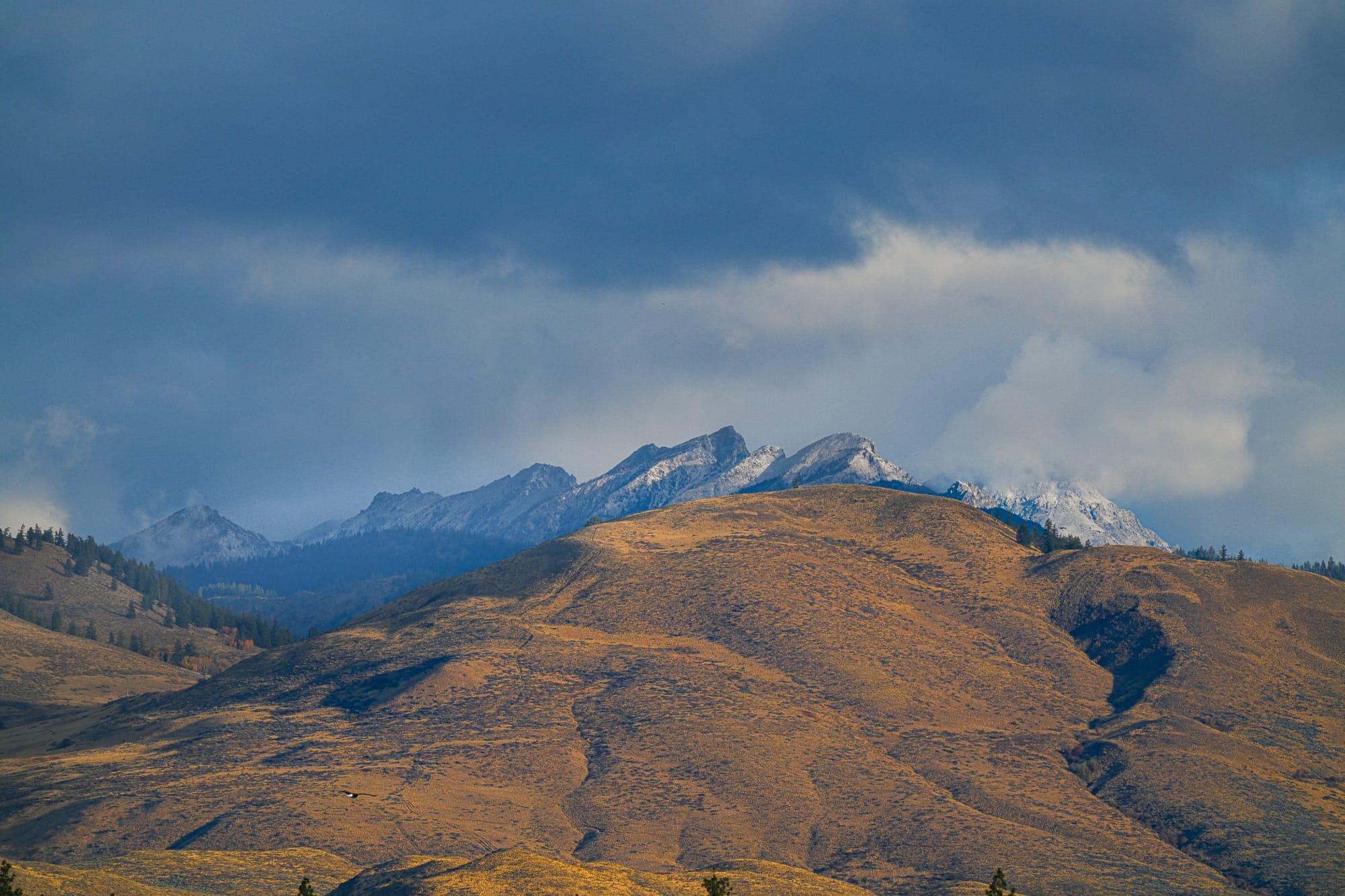 fresh snow in mountains