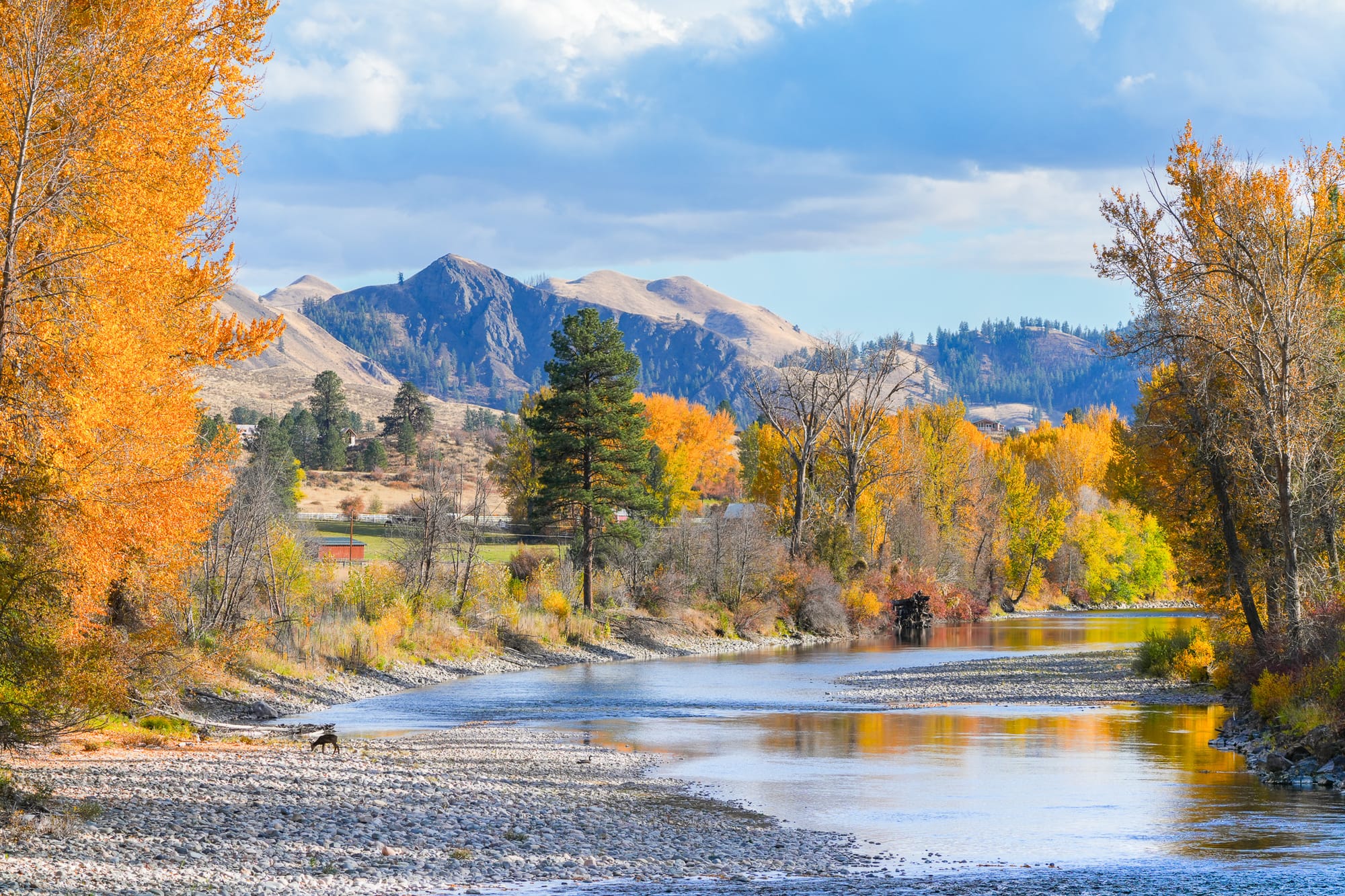 fall colors along Methow River