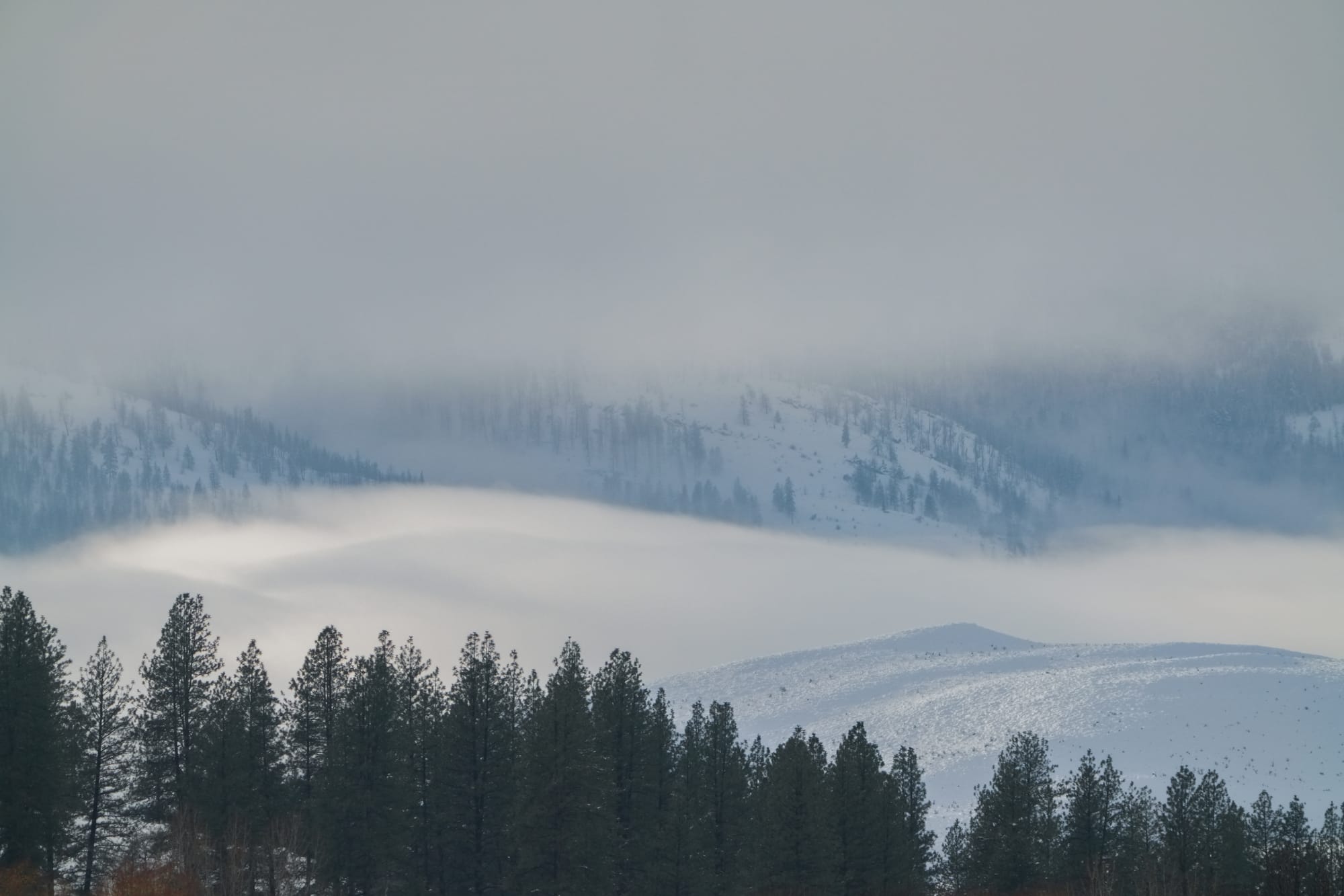 blanket of fog