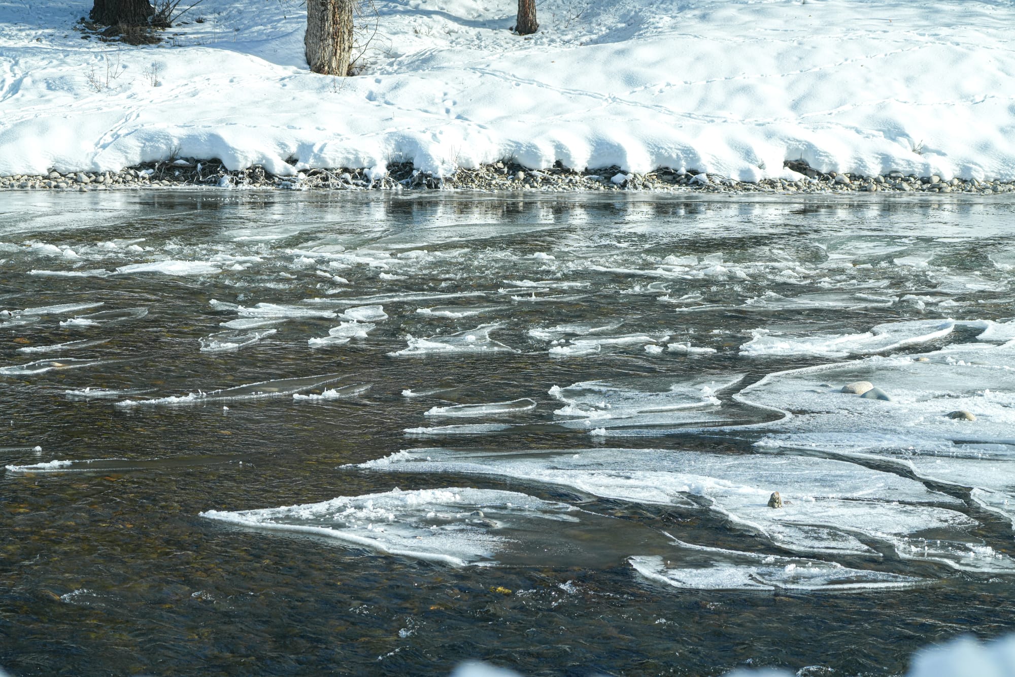 ice on the river