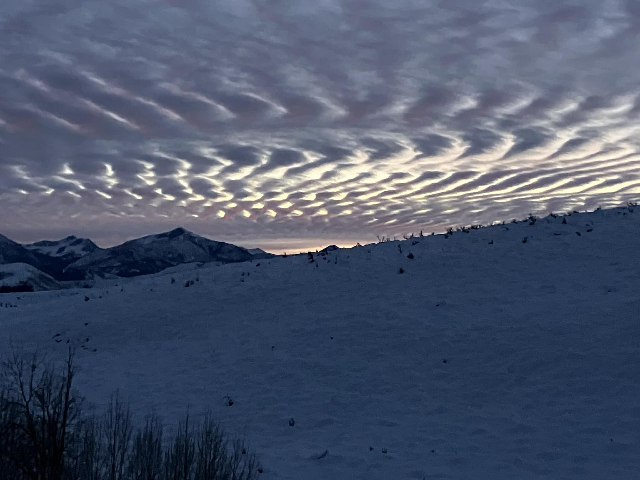 mackerel sky