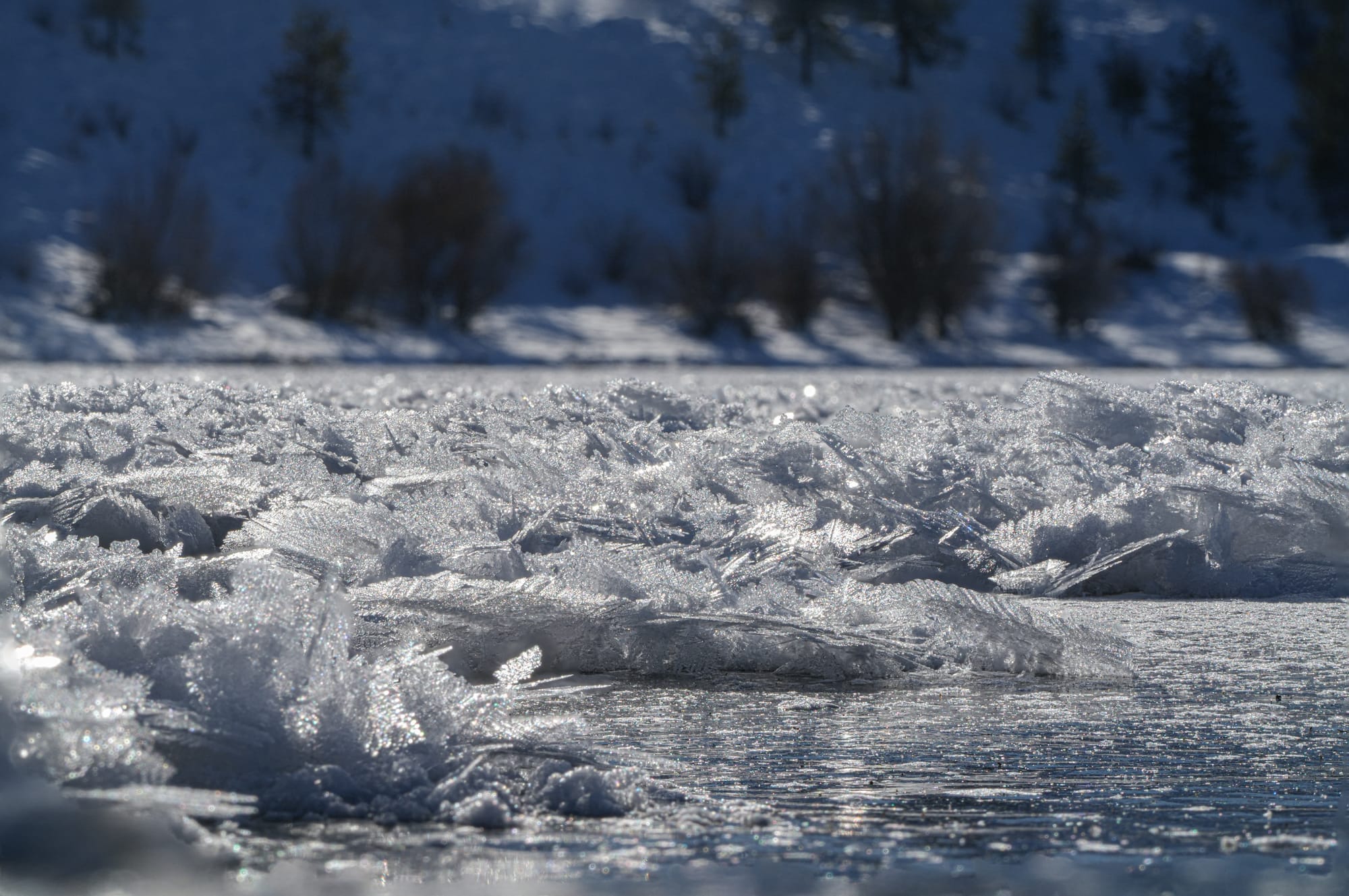 hoarfrost on lake