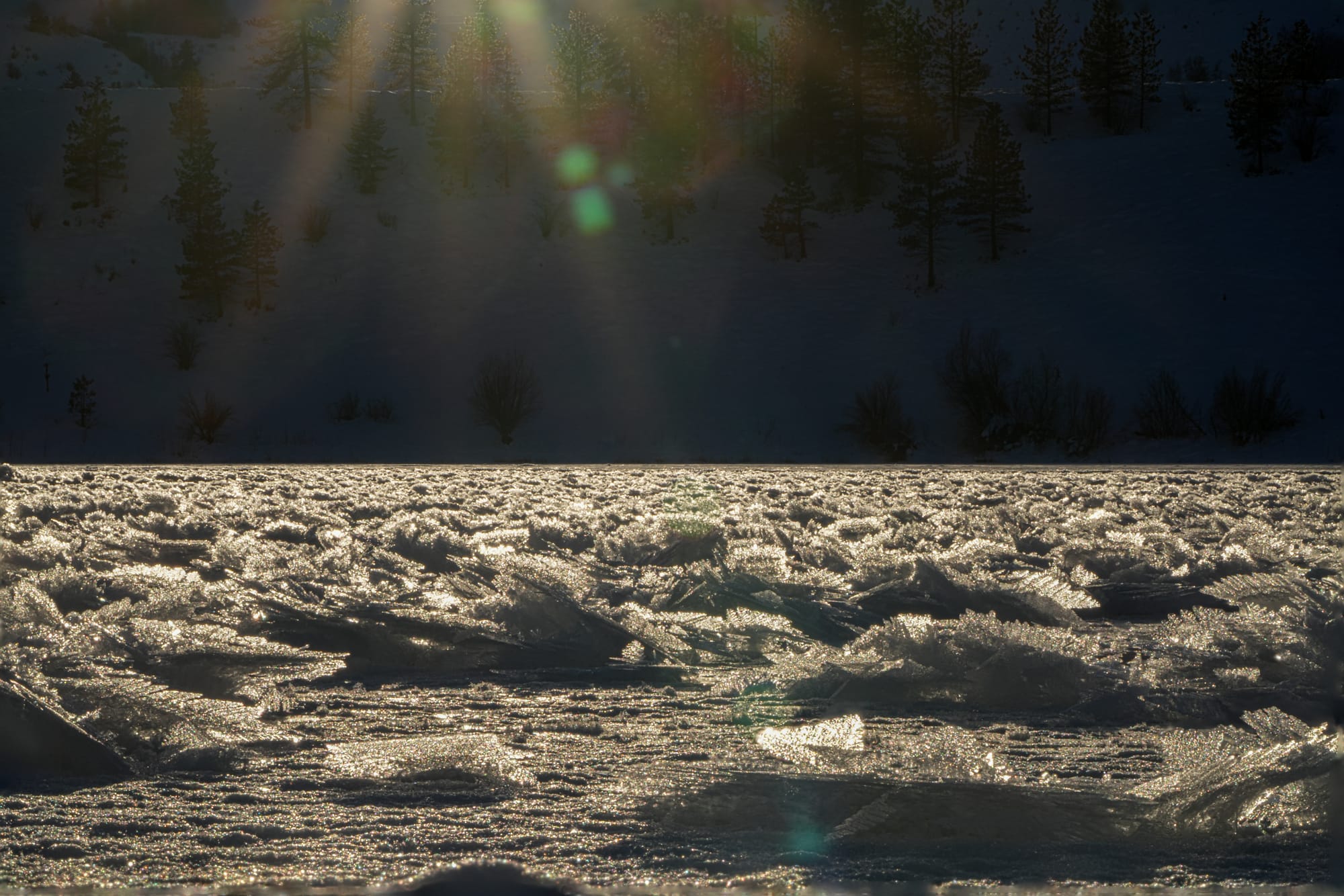 hoarfrost on lake