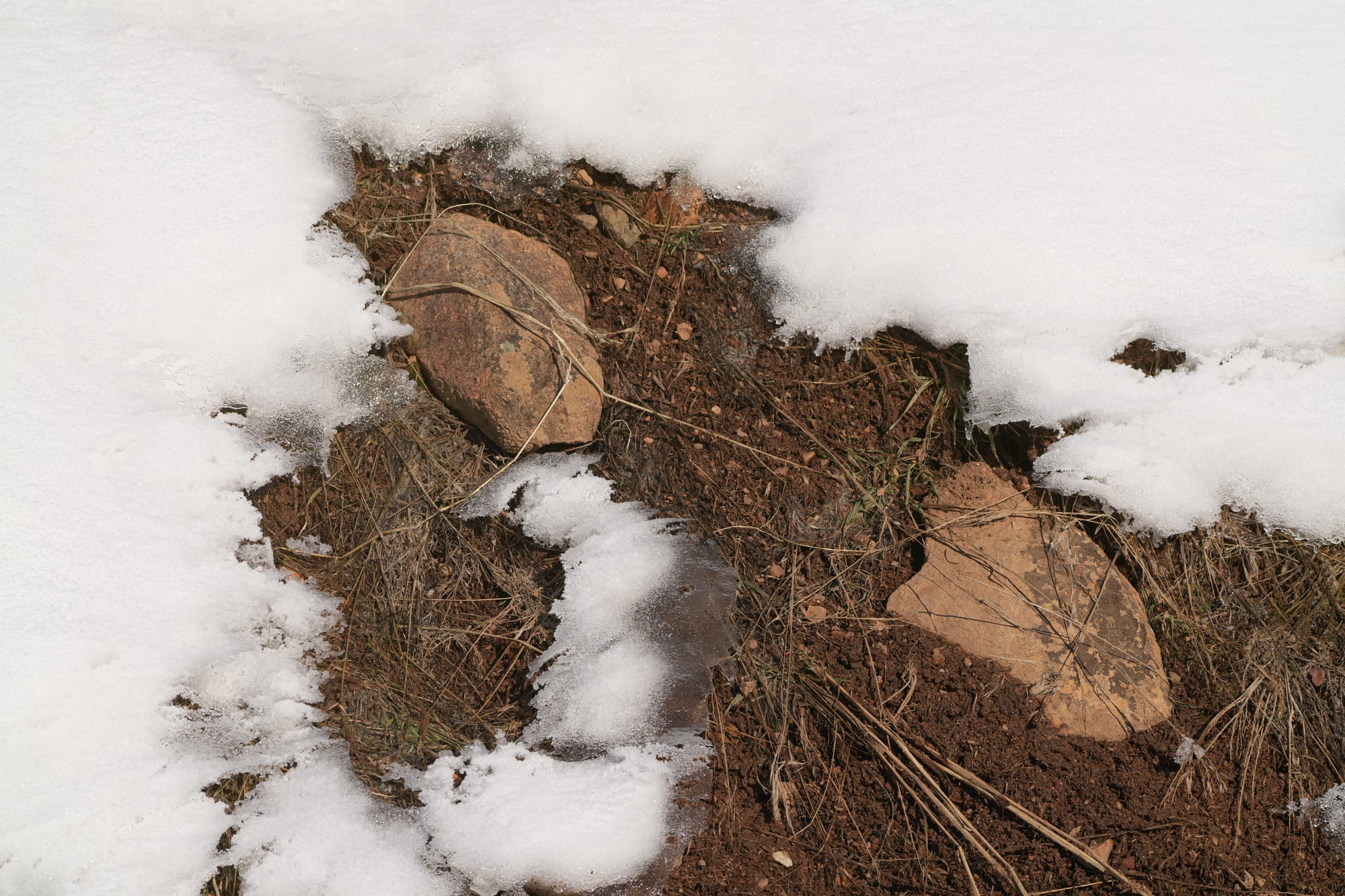 bare soil in snow