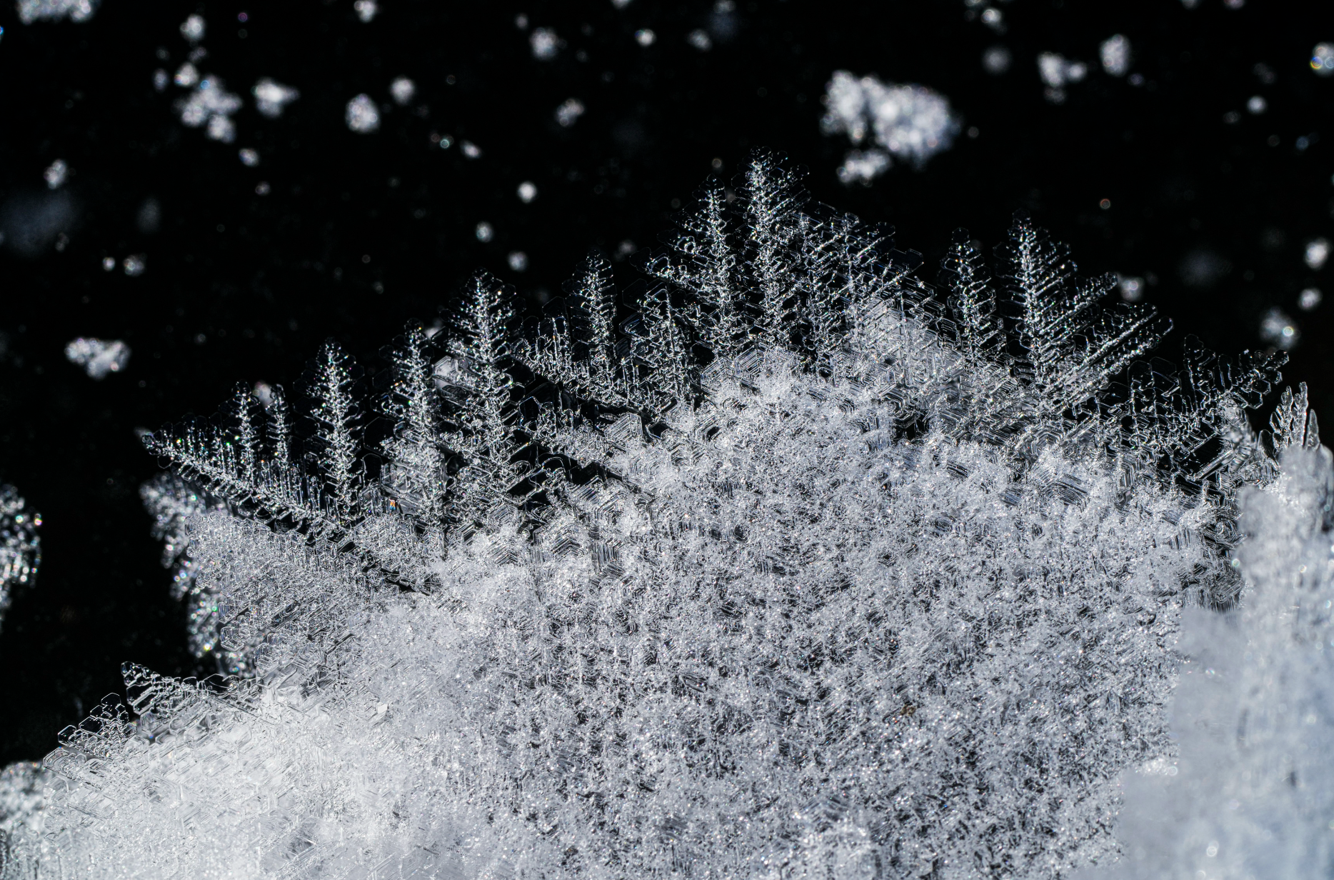 closeup of hoarfrost