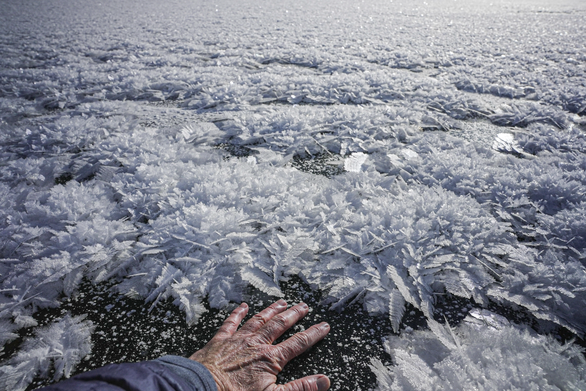 hoarfrost on lake