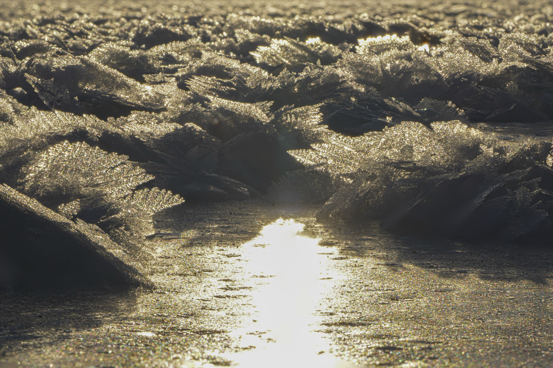 hoarfrost on lake