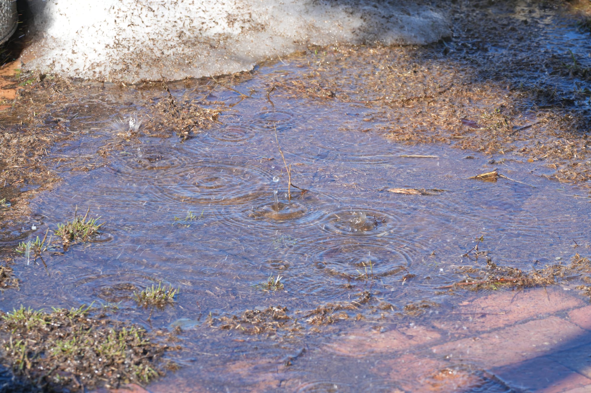 water dripping in puddle