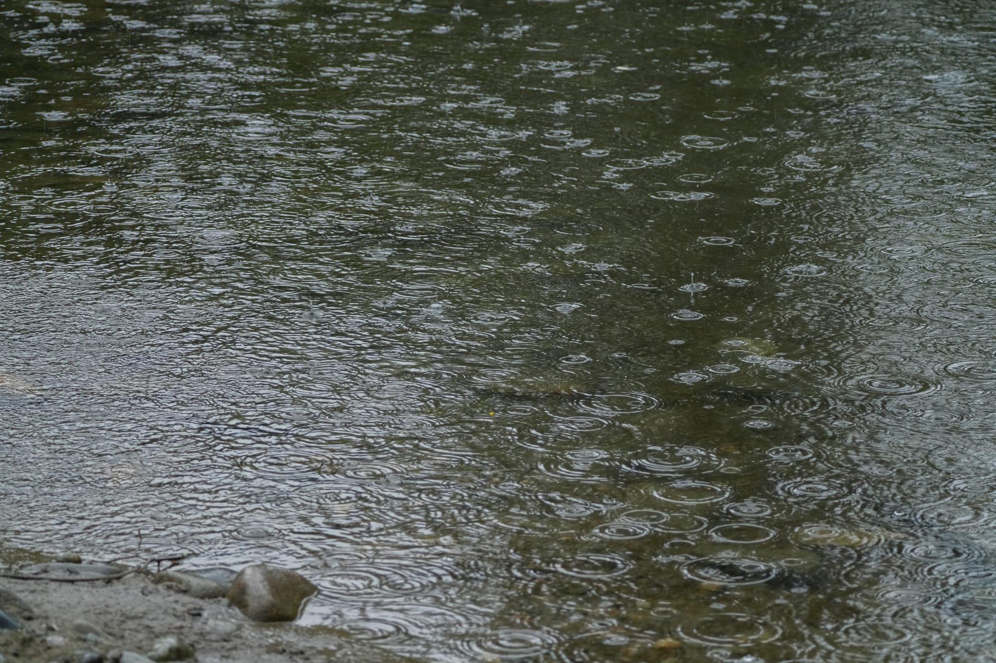 raindrops on water