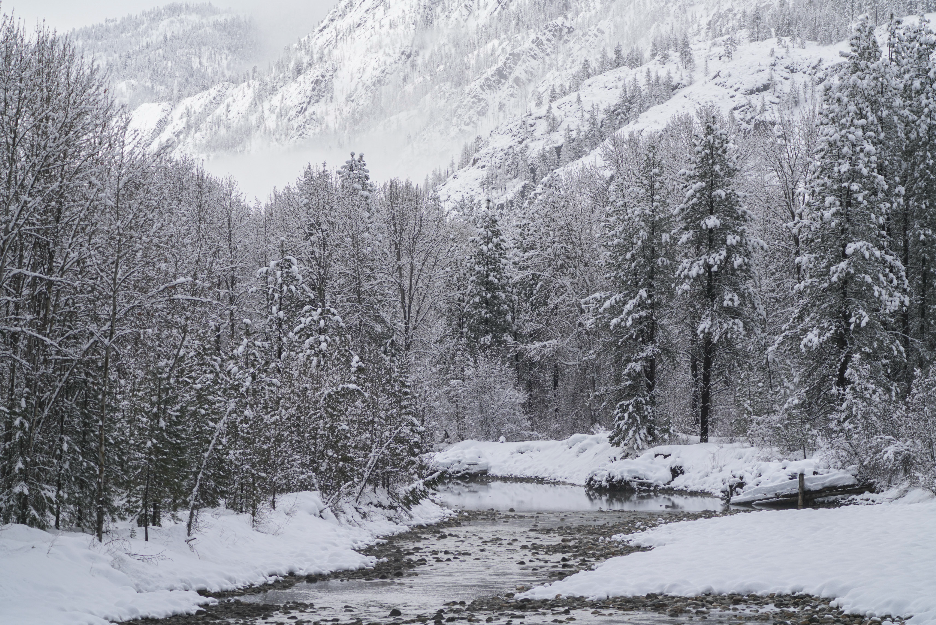 snow along river