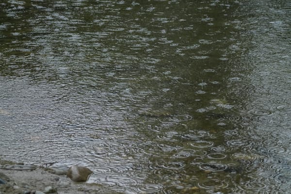 raindrops on water