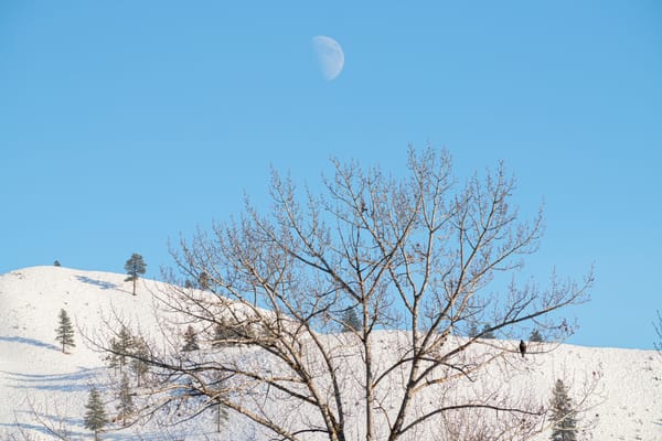 snow-covered hills and moon